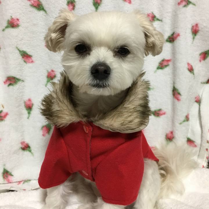 5b4c1cf6 b8c0 4e1e 9f6f 3bed7581fabb 1508574288612