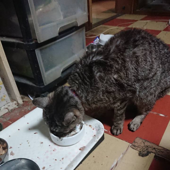 5b4c3ad2 bdc9 474c 842e c5953b68abbb 1594423423496