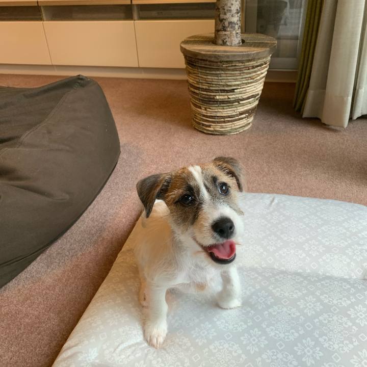 5b4c445b 5651 49c4 b704 df3bf17cdf8d 1561193553568