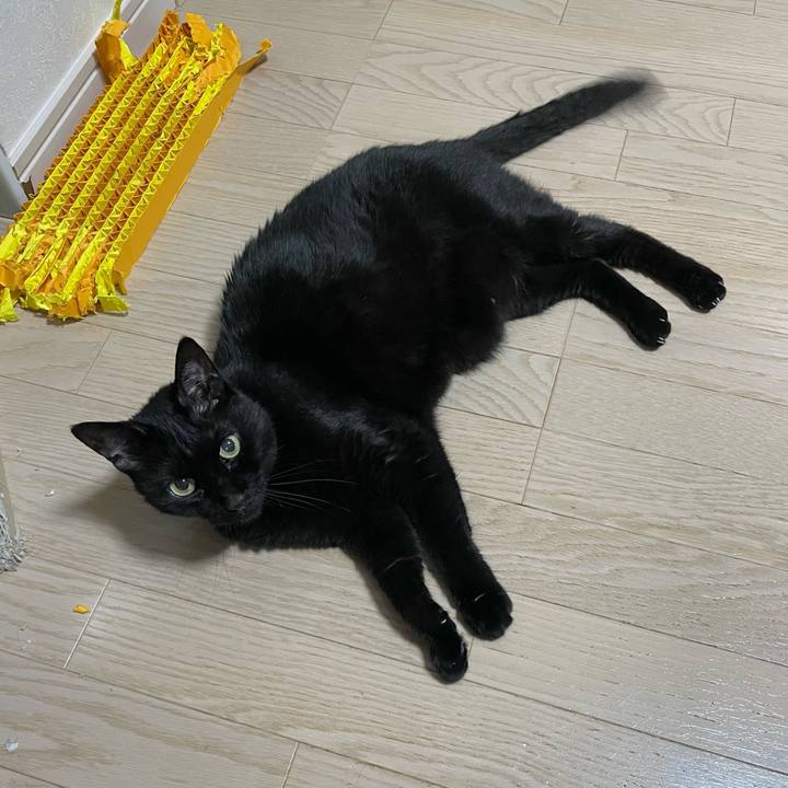 5b4c6696 617a 44c4 8059 9e36710c7f76 1748007575109