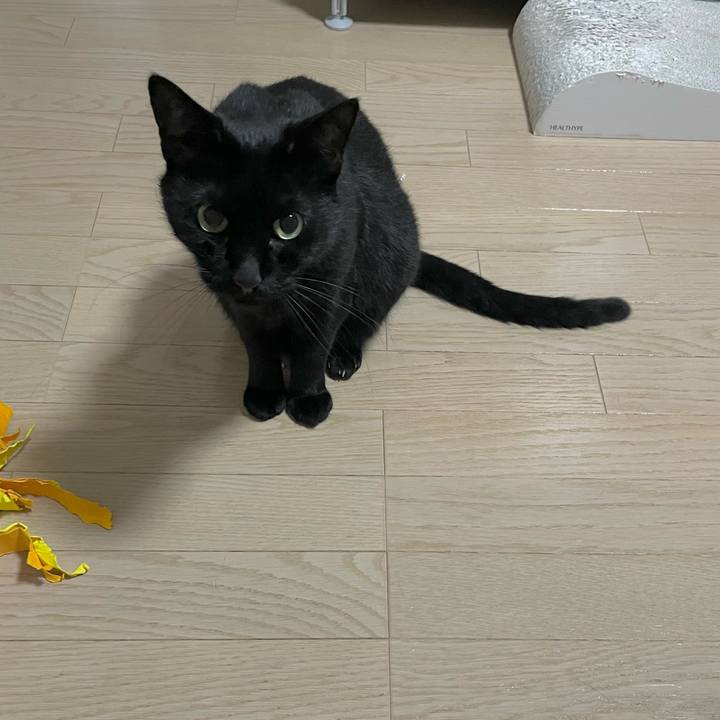 5b4c67d2 d366 42a1 bc15 6ef866366c27 1699534385800