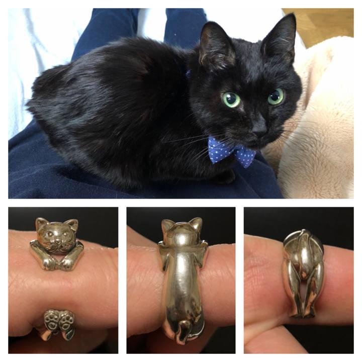 5b4c8da5 f255 4328 9340 06654a30e6bb 1641457369928