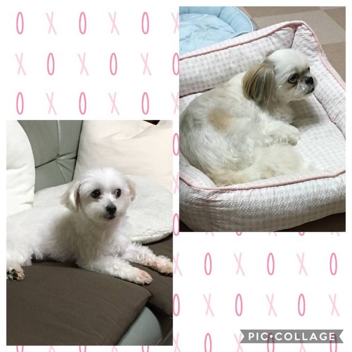 5b4cb0b0 a67d 44da aedd 1fb3850faacc 1566223753722