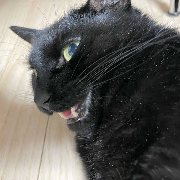 5b4cfffc c214 48f9 9a98 b96b4353edbf 1644052988832