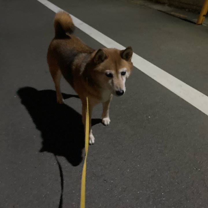 5b4d01e2 fc0d 4afe 9129 4207d818cca2 1636804491868