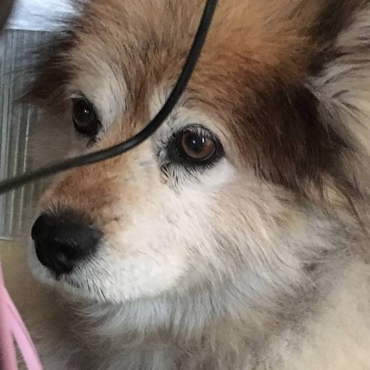 5b4d0b33 d421 48c7 917b 2079cb4bf573 1627334535024