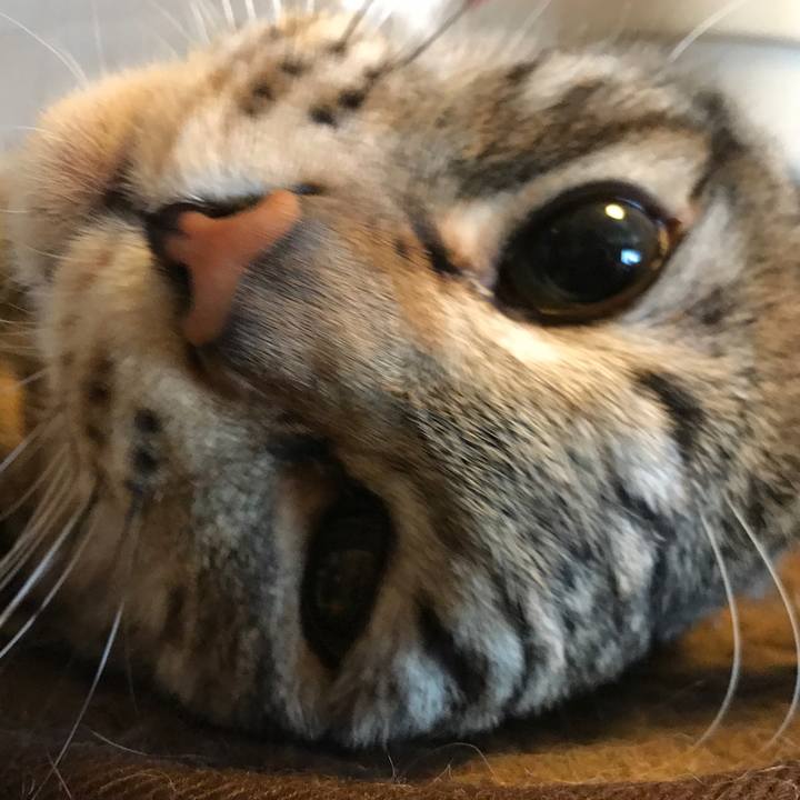 5b4d36f3 1fbc 49e2 a571 a36b218cae22 1519553636745