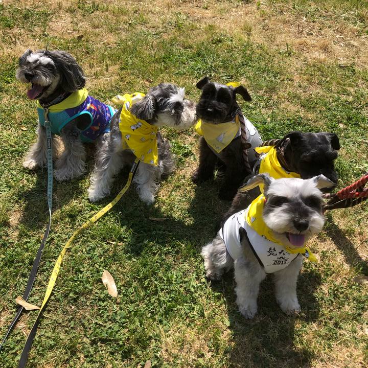 5b4d871e e894 43ea 83b3 d27e08a6ac29 1557647828529