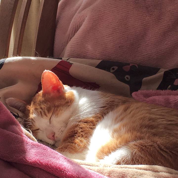 5b4d9ec5 5f41 4bbe 921f 7f6447d2cfad 1574044925138