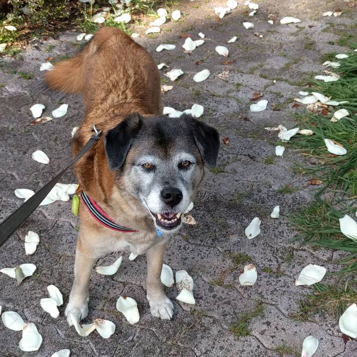 5b4dcbf2 a7da 4693 a80d fd96f6b6bef2 1553213379614