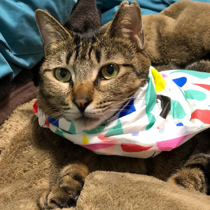 5b4de7d2 47f9 433d b522 ad49a4289941 1520943713735