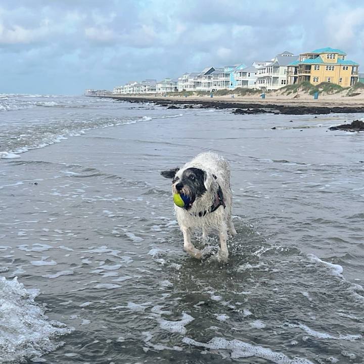 5b4e176d 53aa 45b2 ba95 c00185638d6c 1745963524528