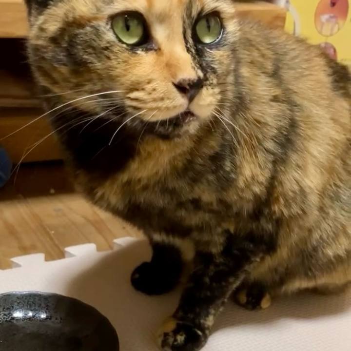 5b4e1ec9 cb55 4a6b bcc8 bcff8a374b04 1732072275289