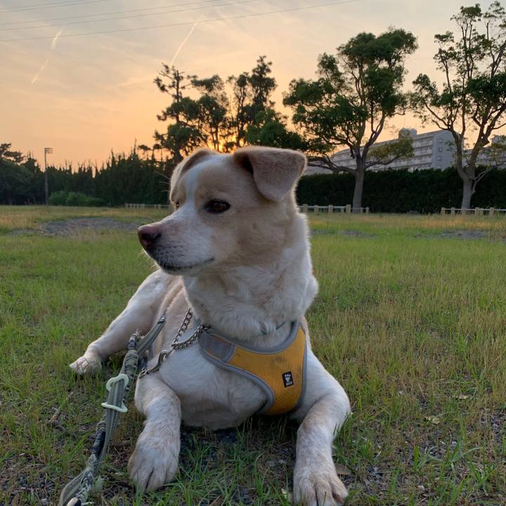 5b4e4f90 29ef 4a02 95c2 c1d9a171e78f 1558873901304