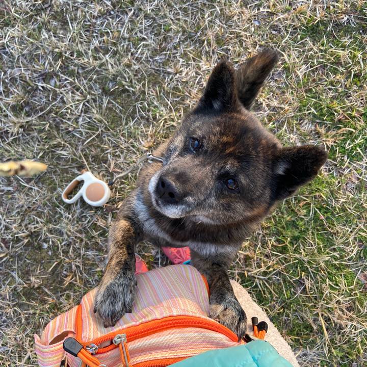 5b4e83b7 58b6 42df b702 c37015182709 1586422673740