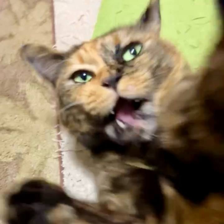 5b4e9271 9312 4a66 b893 161aab8b6134 1732044484533