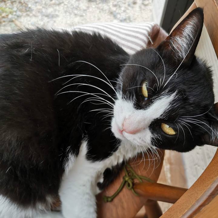 5b4ec1bc 0be6 4f31 9fd8 5008cd7566c7 1693971094975