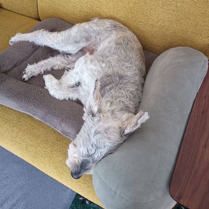 5b4ec8e0 e953 4aa5 bcbe 2f3203983959 1761571697701