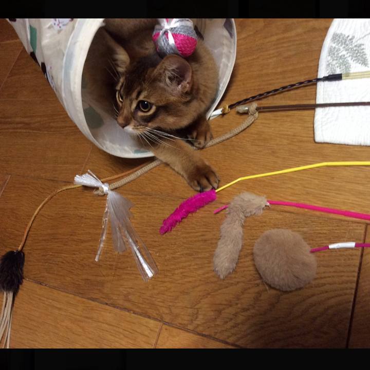 5b4ecac7 e98e 4a72 8df6 072dc46deb72 1578533925111