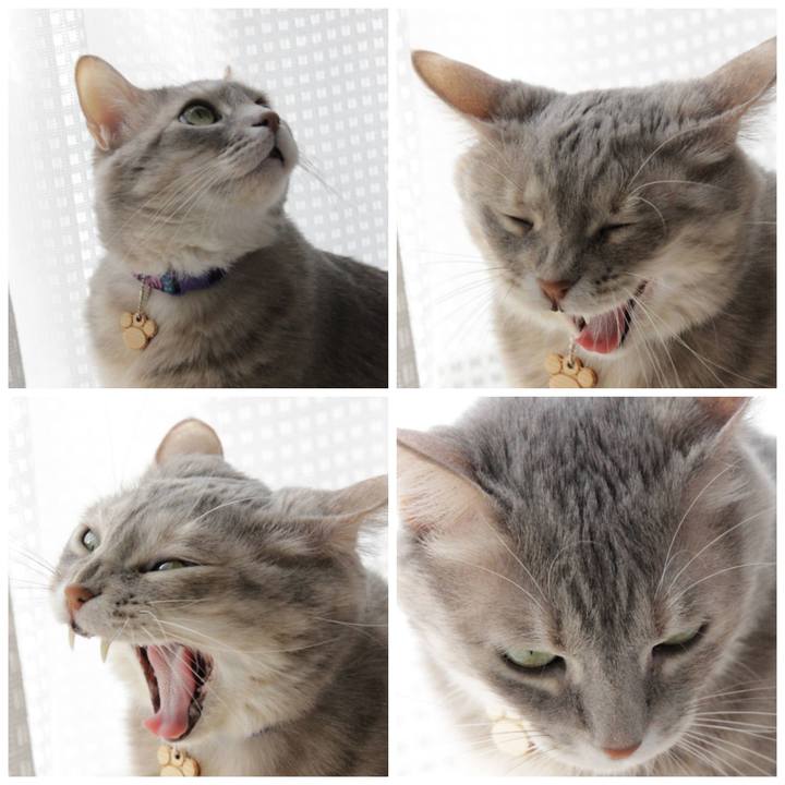 5b4ee6e8 effe 402e 9159 740267c07963 1647071941126