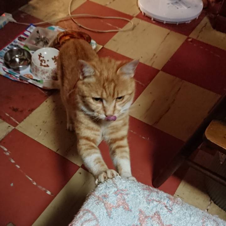 5b4f266e 1009 4221 8c0f ef28c0d77c36 1593719812668