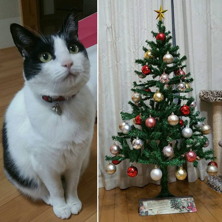 5b4f316a 653e 4fc0 98de 399a60949a96 1575852097902