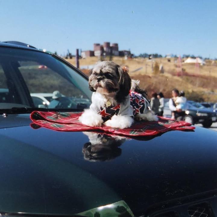 5b4f50b4 1471 4c0c a383 1d5b92b6639c 1623595410981