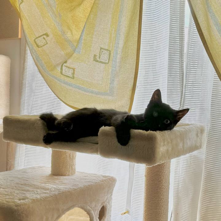 5b4f5b0a 0ba4 436d 94dd ac0f7e158e17 1723605618429