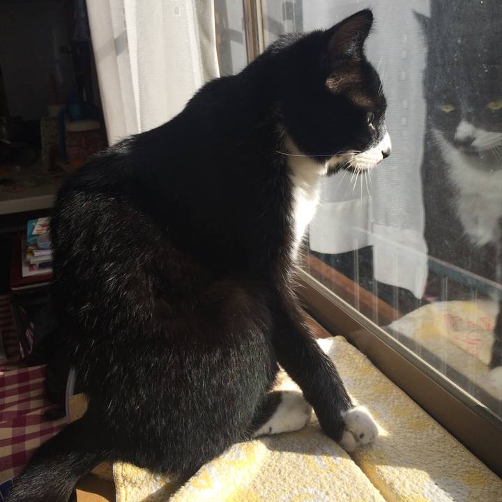 5b4f6f1d 51e2 46b7 9b38 4a6400d2fc72 1514868335994