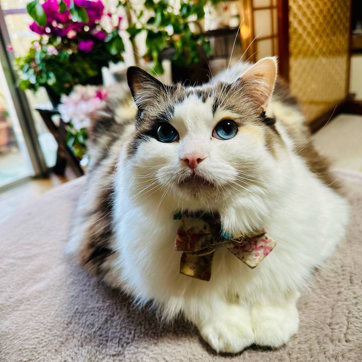 5b4f7a16 ad20 4bf3 a4b7 8002de9d510d 1769296337189