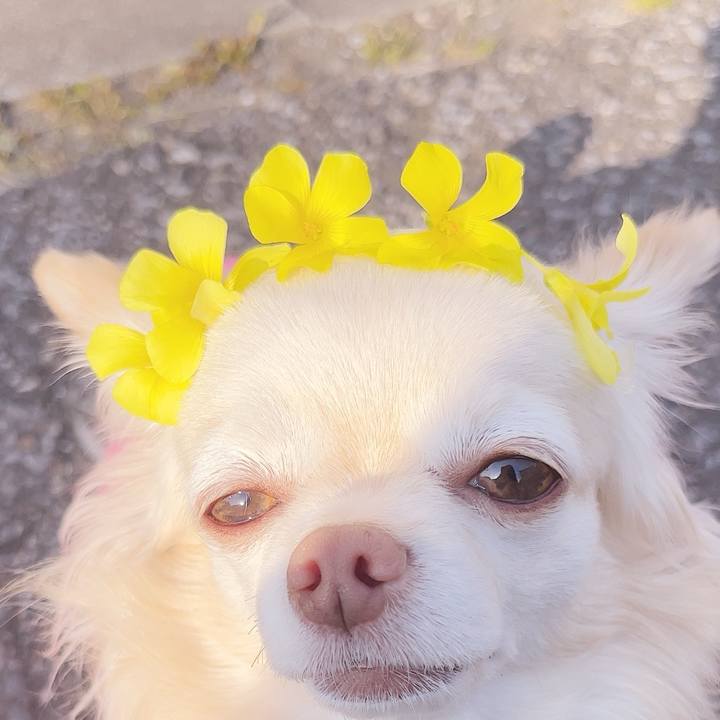 5b4f8bcf bc48 4285 b4e6 1f07a0be87e3 1740726351742