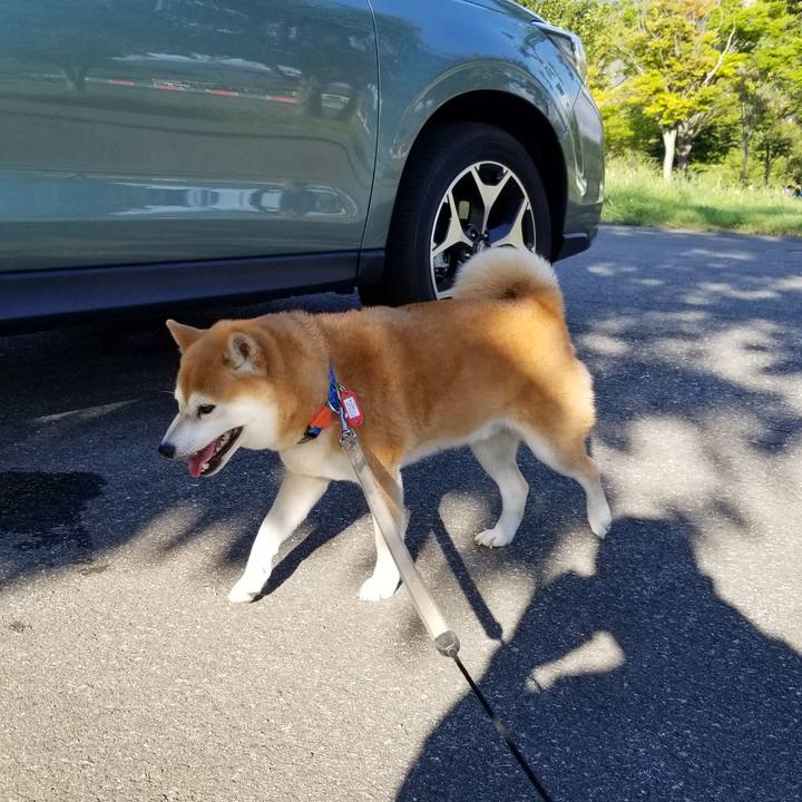 5b4fe0fc e98f 488c a06d a59a93e6180e 1536650611092