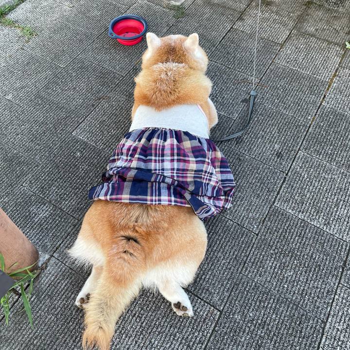 5b4fe1cd 49da 4db2 bbf4 cd7dfd4444f2 1629632220465