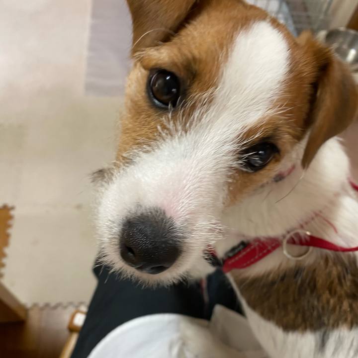 5b4fed23 7e5a 4eab af10 555b0eeaec50 1620442087718