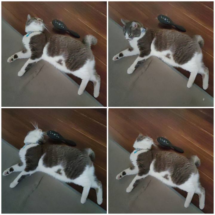 5b4ffe0d d786 4b56 b231 d51f224364e5 1722502876755