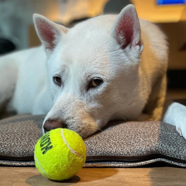 5b5030cb b614 4547 86fb bd1043b230fb 1607519151757