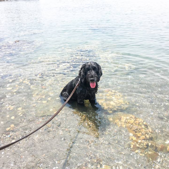 5b505359 bef2 433c a301 bfa0461b5117 1559790101773