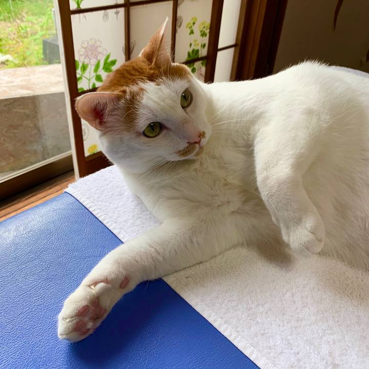 5b509ca6 b98a 4e1a 8c5c 6b9d0cb92c6a 1572087506978