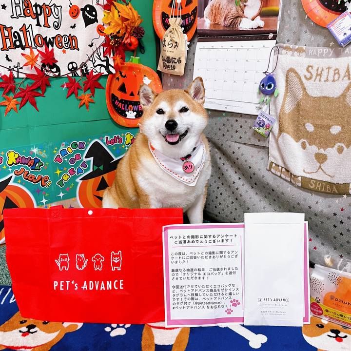 5b50a020 032b 4d5b 9176 ddcccc878216 1696316625416