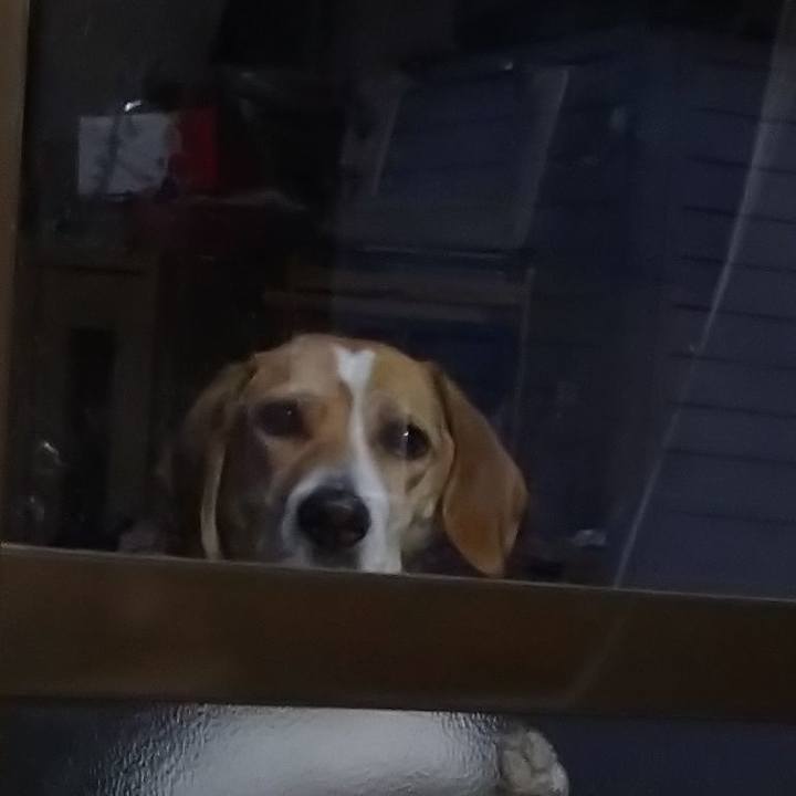 5b50fdad 9175 47e4 aa95 5c738ecb3297 1580892762864