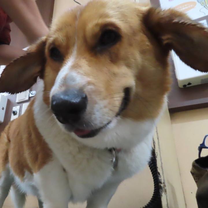 5b5104b4 2b36 4925 a670 517d9097bb60 1652495748435