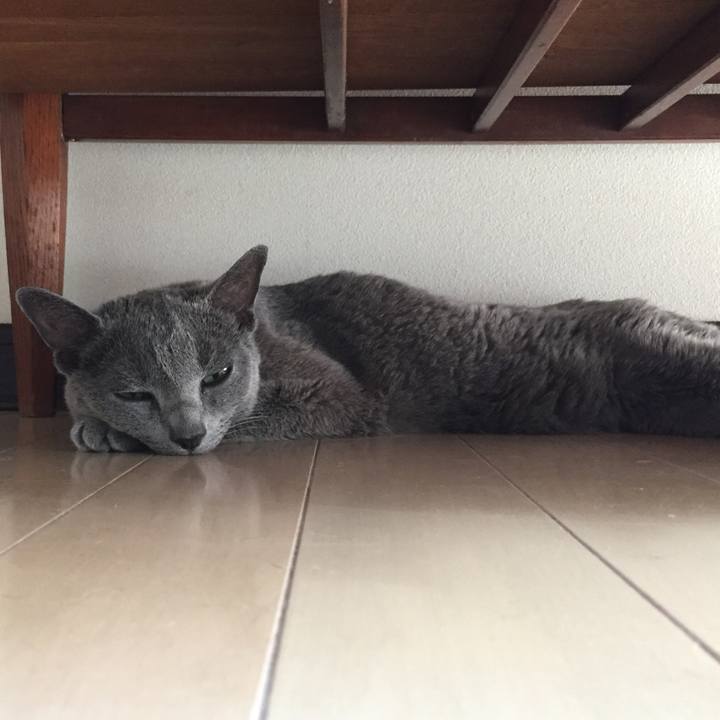 5b51069a 0e09 454a 9292 a552b06ca131 1565132732271