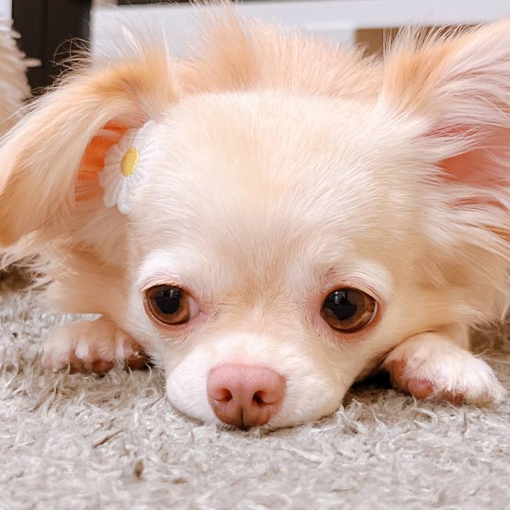 5b5140c4 effd 484c beaf e028b42951d8 1660917357757