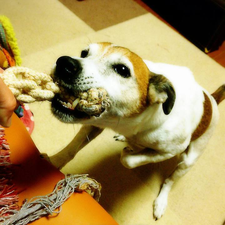 5b5155ea ecf8 48af b1a5 c9b872e940d2 1508853706530