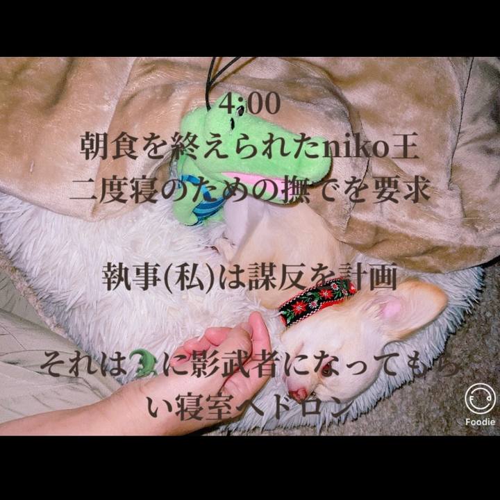 5b515880 54f6 4b20 8a41 be54d79e44a9 1627068396261