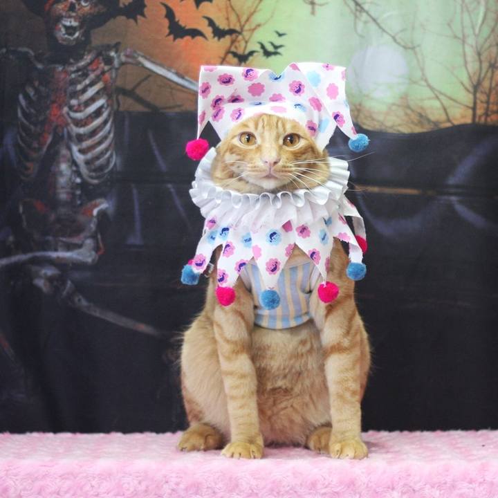 5b51f742 c505 4dc9 94f2 5393e239980e 1696216327816