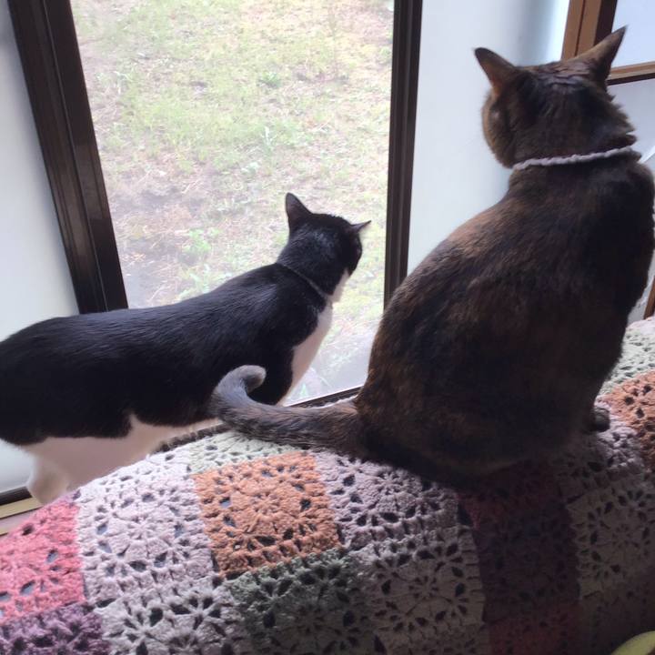 5b52130d 8051 4c57 b843 7f7ee202dcaa 1688130000964