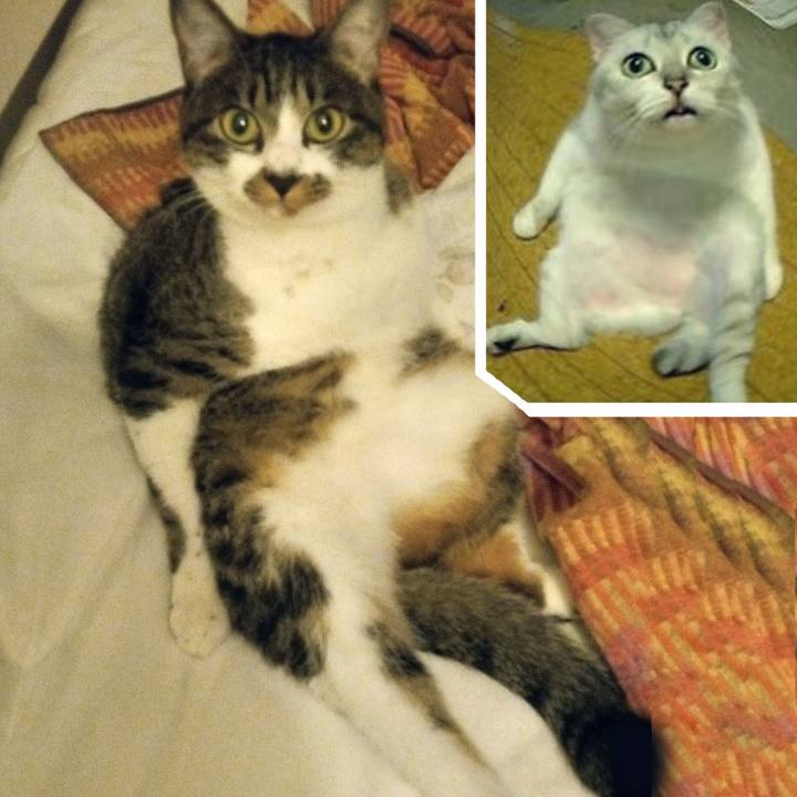 5b522207 a728 4d14 8d59 7bbc15056104 1762742085308