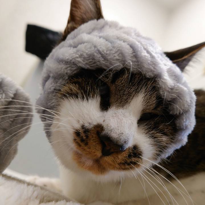 5b524364 d515 4bd0 92bf 77c3955cae7e 1765035174368