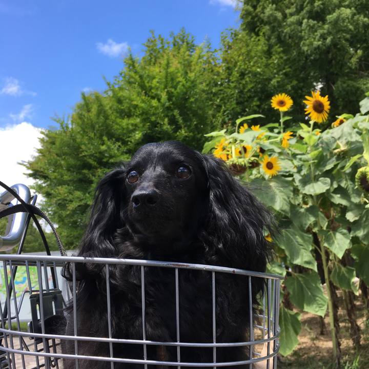 5b526bdb 2f19 463b b4c6 4fb898fdfd55 1628983459546